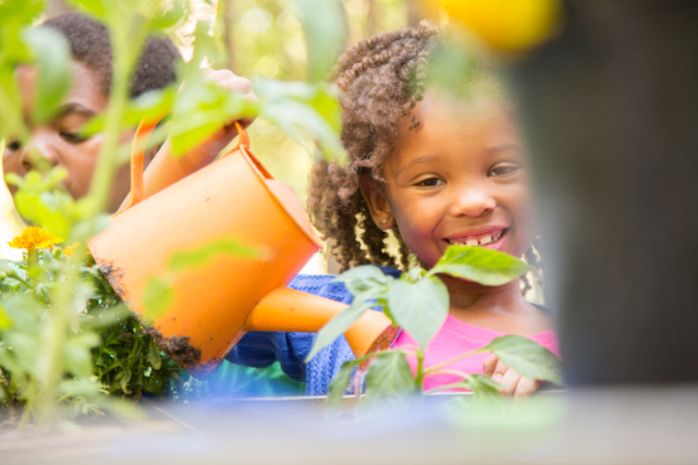 kecerdasan naturalis anak, stimulasi alam anak, aktivitas outdoor anak, parenting cinta lingkungan, berkebun bersama anak, edukasi anak tentang lingkungan, bermain di alam bebas.